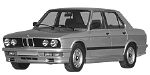 BMW E28 C1976 Fault Code